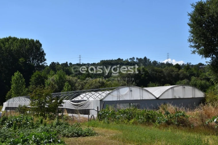 Terreno para Venda em Couto de Baixo e Couto de Cima Foto 2