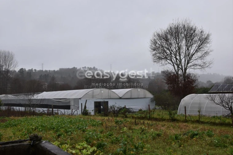 Terreno para Venda em Couto de Baixo e Couto de Cima Foto 3