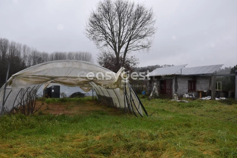 Terreno para Venda em Couto de Baixo e Couto de Cima Foto 5