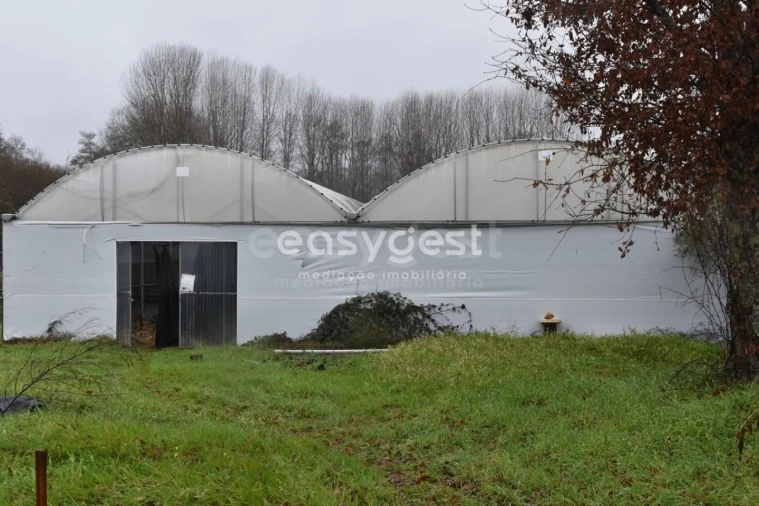 Terreno para Venda em Couto de Baixo e Couto de Cima Foto 14