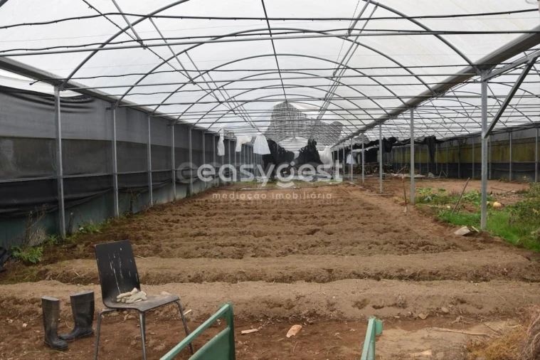 Terreno para Venda em Couto de Baixo e Couto de Cima Foto 15