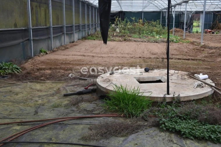 Terreno para Venda em Couto de Baixo e Couto de Cima Foto 18