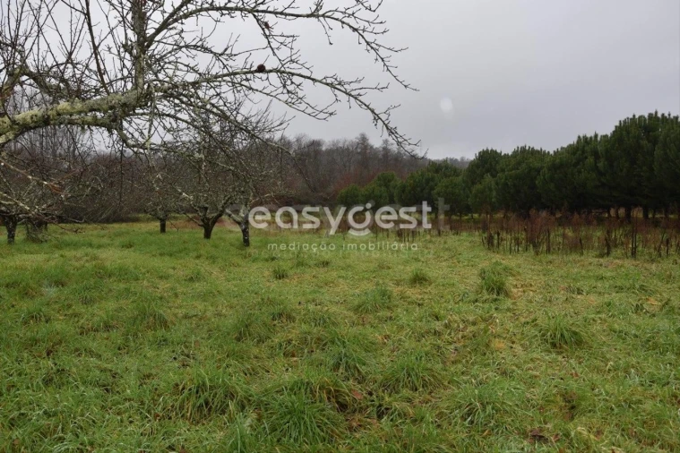 Terreno para Venda em Couto de Baixo e Couto de Cima Foto 25