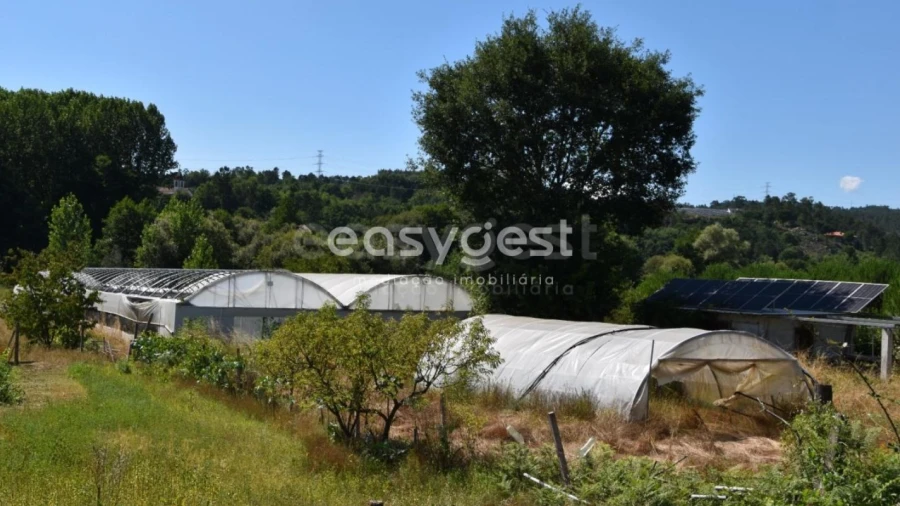 Terreno para Venda em Couto de Baixo e Couto de Cima