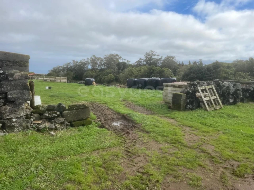Terreno para Venda em São Bras Foto 7