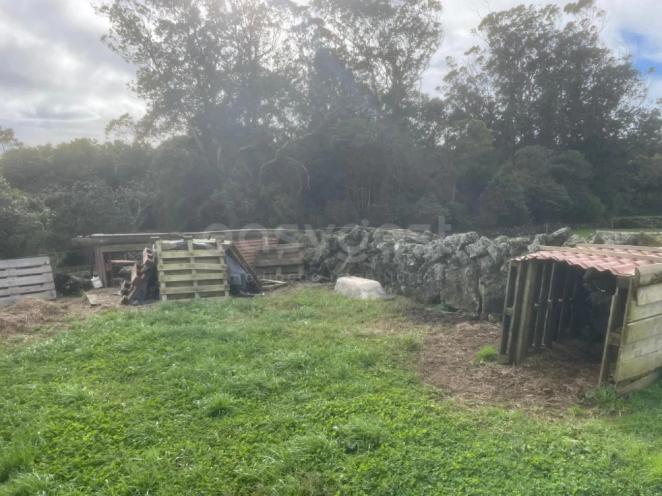 Terreno para Venda em São Bras Foto 9