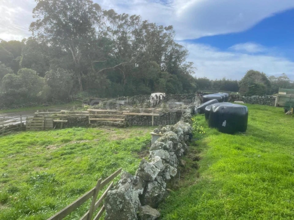 Terreno para Venda em São Bras Foto 12
