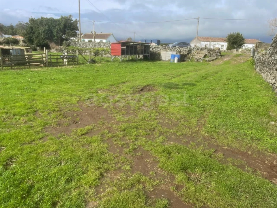 Terreno para Venda em São Bras Foto 14