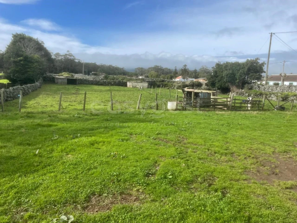 Terreno para Venda em São Bras Foto 15