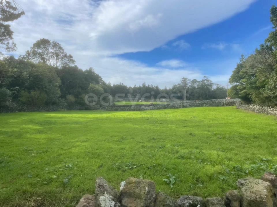 Terreno para Venda em São Bras Foto 17