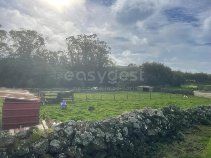 Terreno para Venda em São Bras Foto 3
