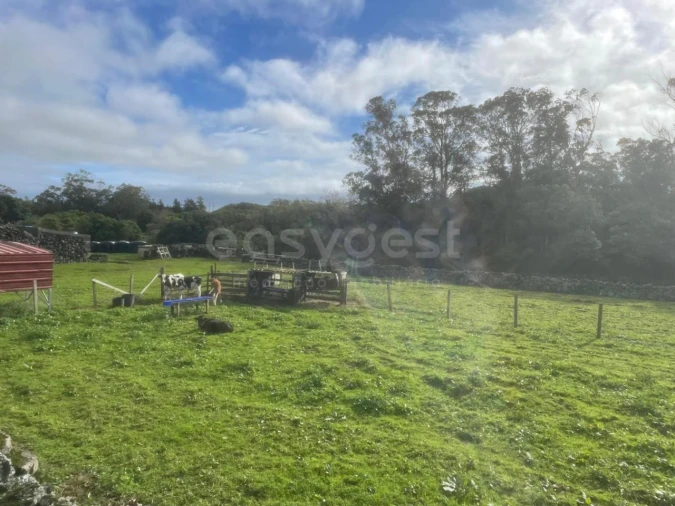 Terreno para Venda em São Bras Foto 4