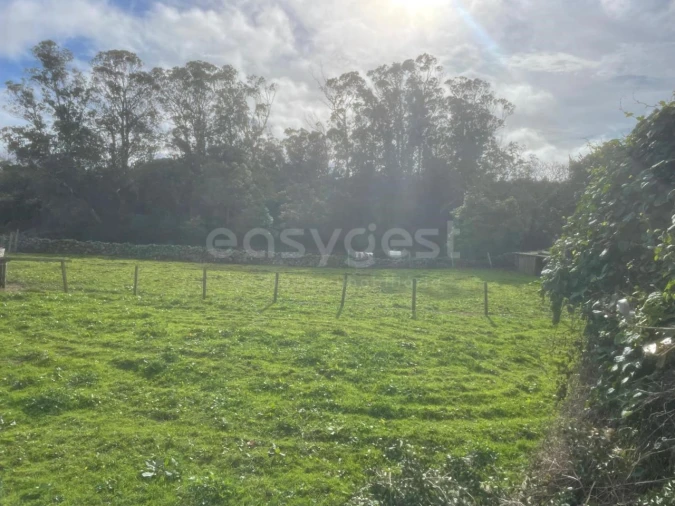 Terreno para Venda em São Bras Foto 5