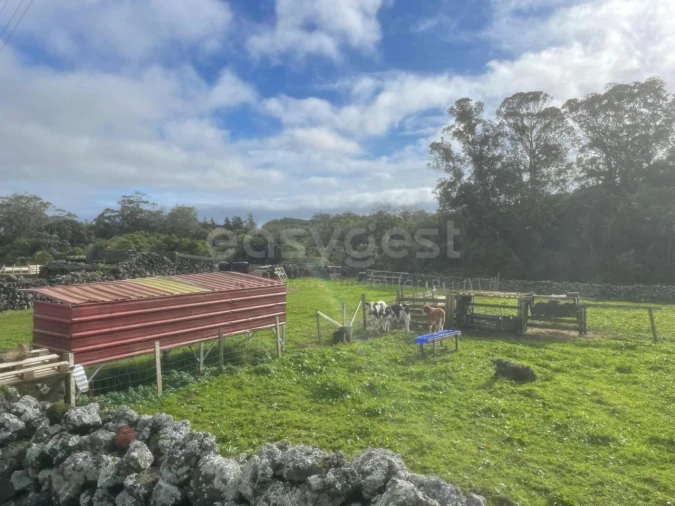 Terreno para Venda em São Bras Foto 6
