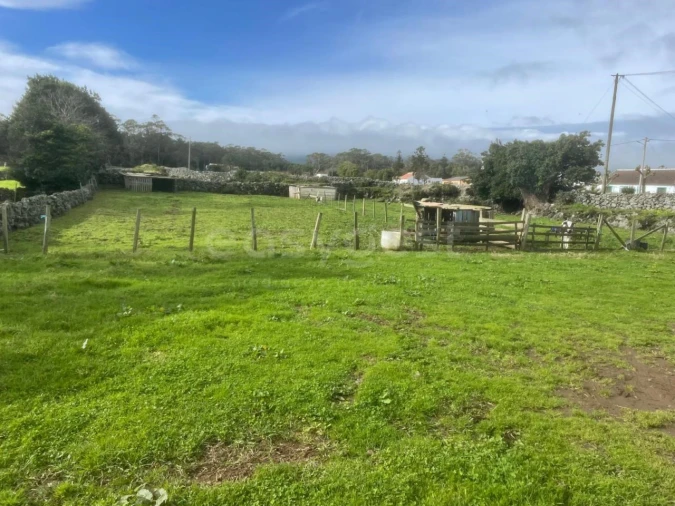 Terreno para Venda em São Bras Foto 15