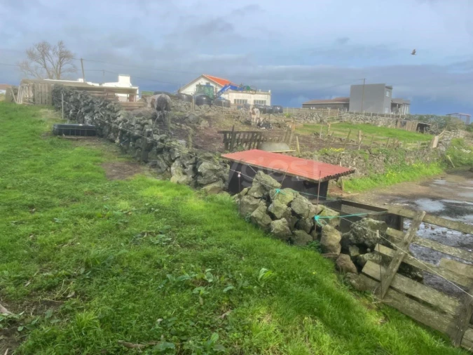 Terreno para Venda em São Bras Foto 20