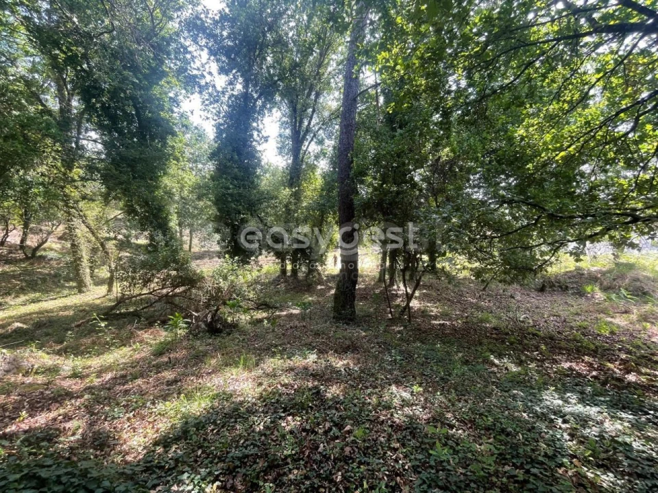 Terreno para Venda em Couto de Baixo e Couto de Cima Foto 2