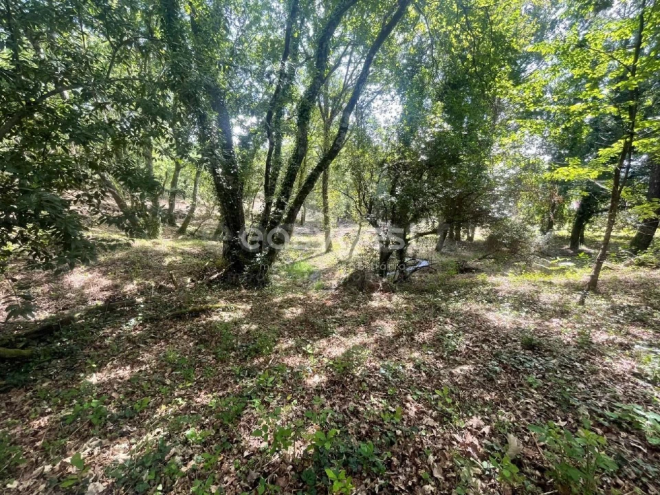 Terreno para Venda em Couto de Baixo e Couto de Cima Foto 3