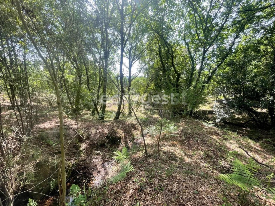 Terreno para Venda em Couto de Baixo e Couto de Cima Foto 10