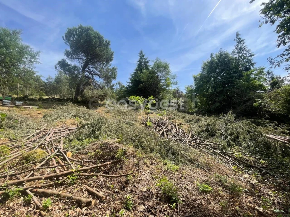 Terreno para Venda em Couto de Baixo e Couto de Cima Foto 19