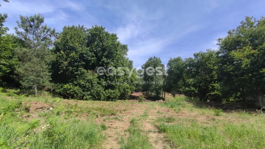 Terreno para Venda em Couto de Baixo e Couto de Cima