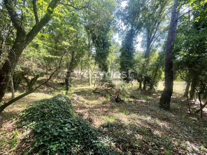 Terreno para Venda em Couto de Baixo e Couto de Cima Foto 4