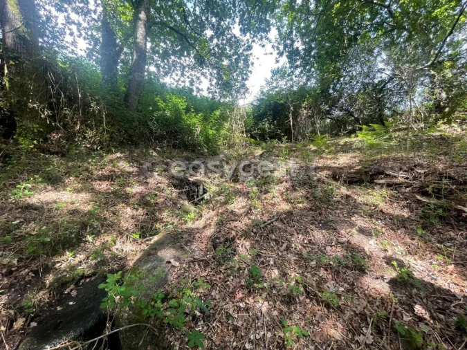 Terreno para Venda em Couto de Baixo e Couto de Cima Foto 6