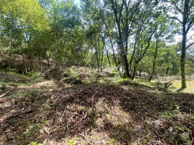 Terreno para Venda em Couto de Baixo e Couto de Cima Foto 7