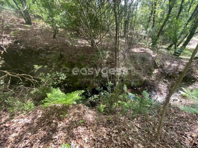 Terreno para Venda em Couto de Baixo e Couto de Cima Foto 8