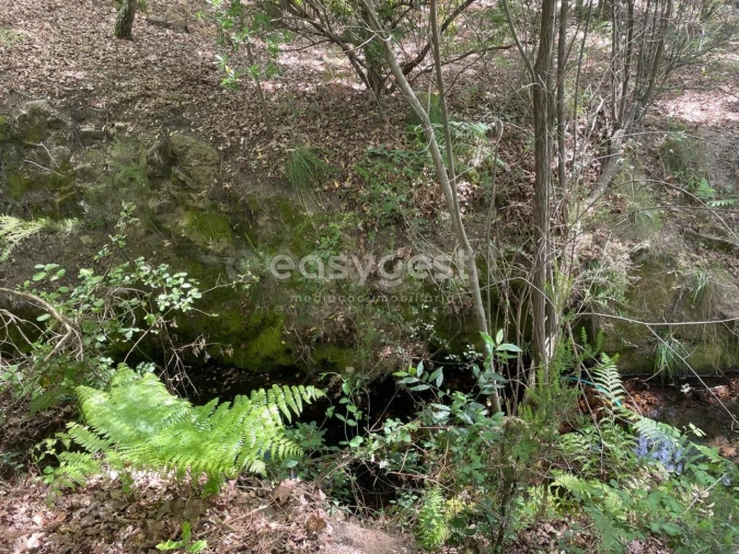 Terreno para Venda em Couto de Baixo e Couto de Cima Foto 9