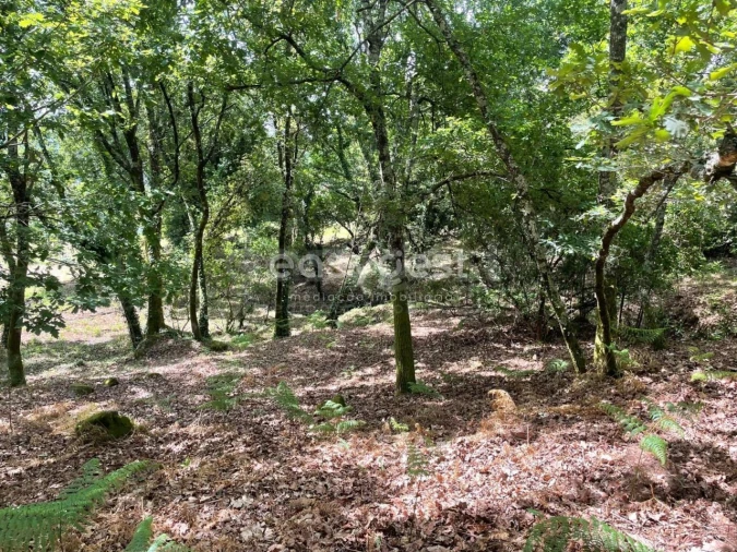 Terreno para Venda em Couto de Baixo e Couto de Cima Foto 12