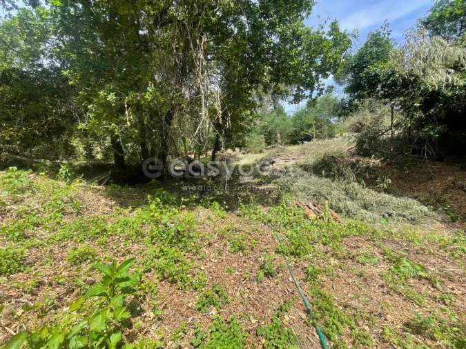 Terreno para Venda em Couto de Baixo e Couto de Cima Foto 15