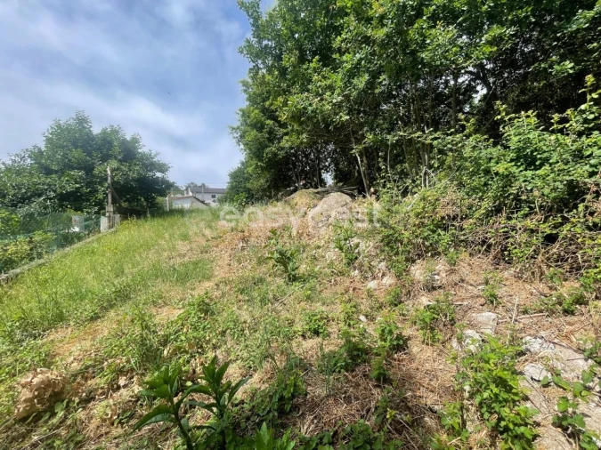 Terreno para Venda em Couto de Baixo e Couto de Cima Foto 16