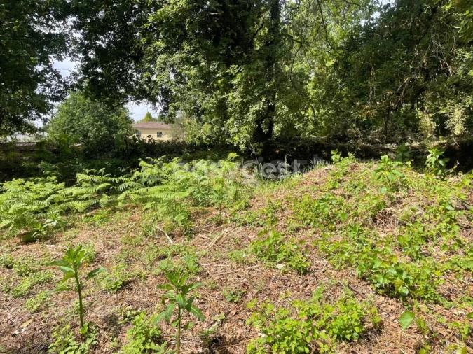 Terreno para Venda em Couto de Baixo e Couto de Cima Foto 18