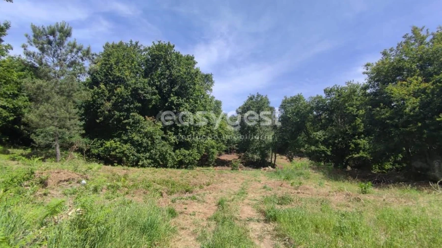 Terreno para Venda em Couto de Baixo e Couto de Cima