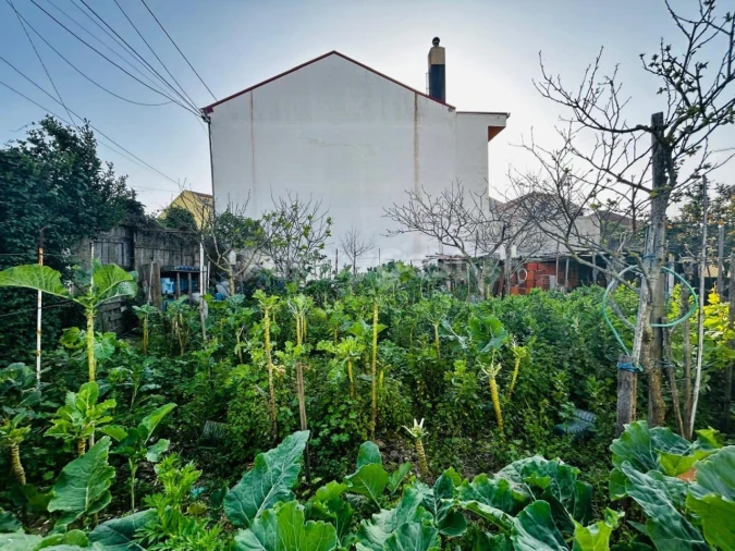 Terreno para Venda em Camarate, Unhos e Apelação Foto 15