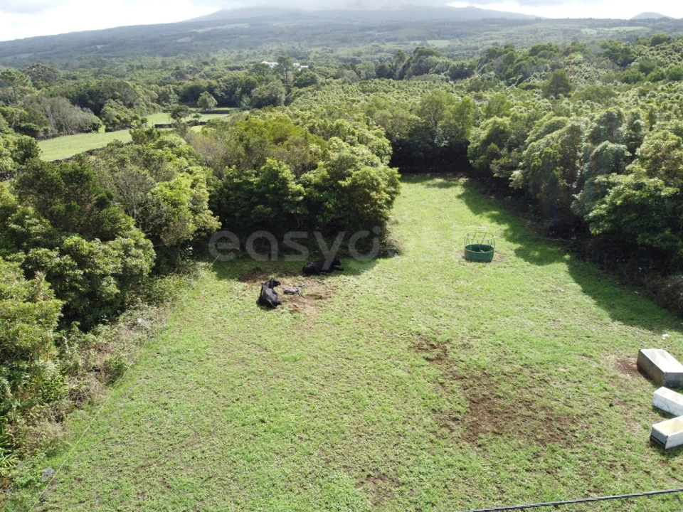 Terreno para Venda em Bandeiras Foto 12