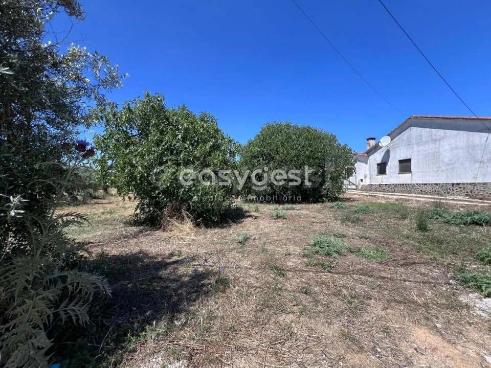 Terreno para Venda em São João Baptista e Santa Maria dos Olivais Foto 13