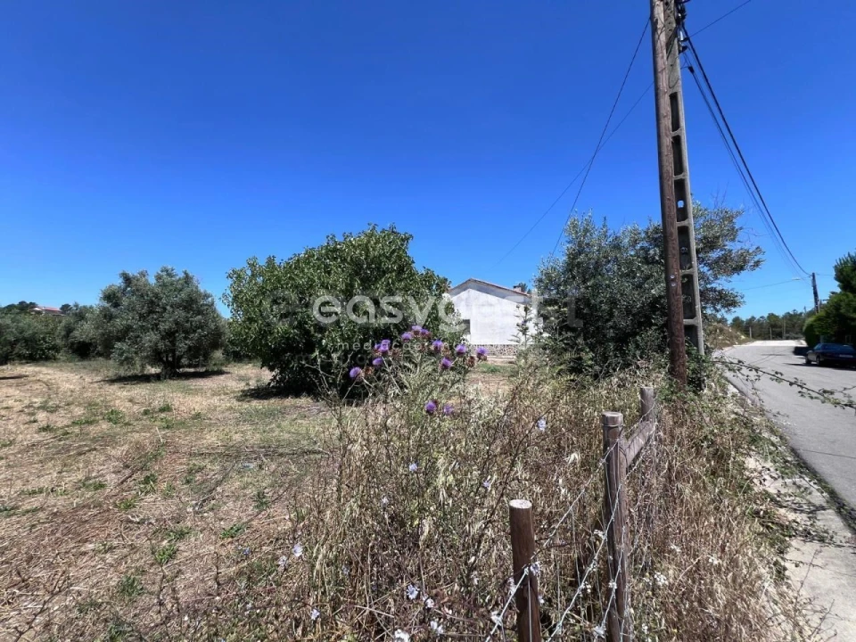 Terreno para Venda em São João Baptista e Santa Maria dos Olivais Foto 15