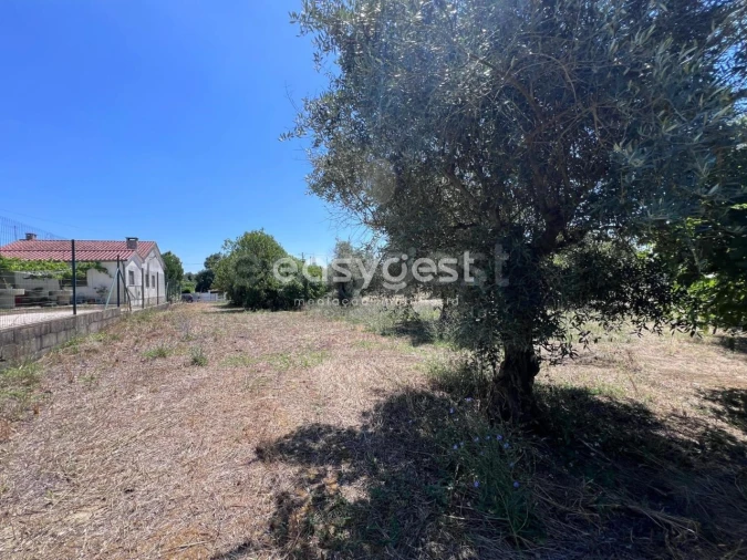 Terreno para Venda em São João Baptista e Santa Maria dos Olivais Foto 1