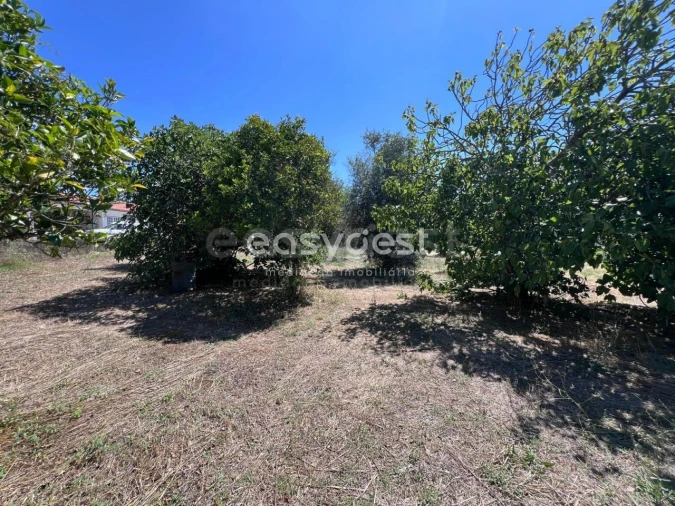 Terreno para Venda em São João Baptista e Santa Maria dos Olivais Foto 7