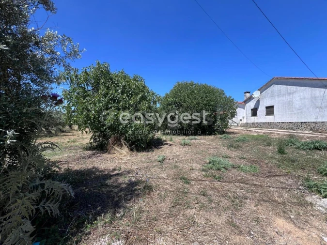 Terreno para Venda em São João Baptista e Santa Maria dos Olivais Foto 13