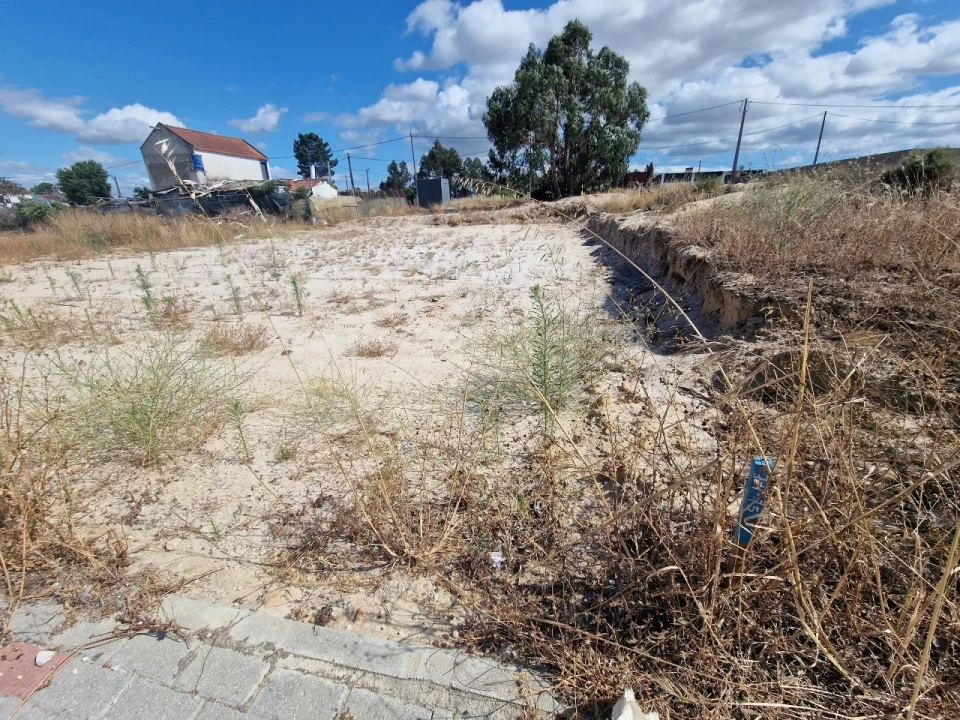 Terreno para Venda em Quinta do Anjo Foto 3