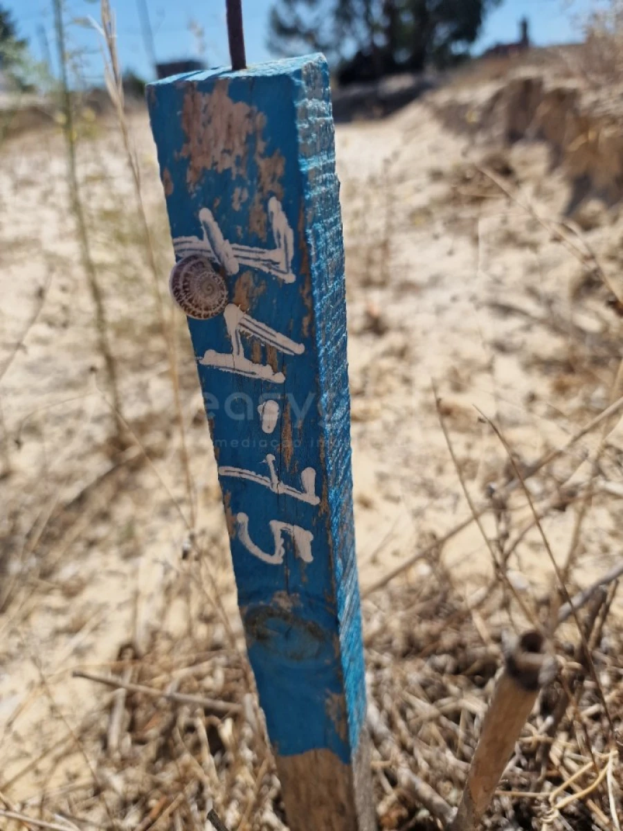 Terreno para Venda em Quinta do Anjo Foto 8