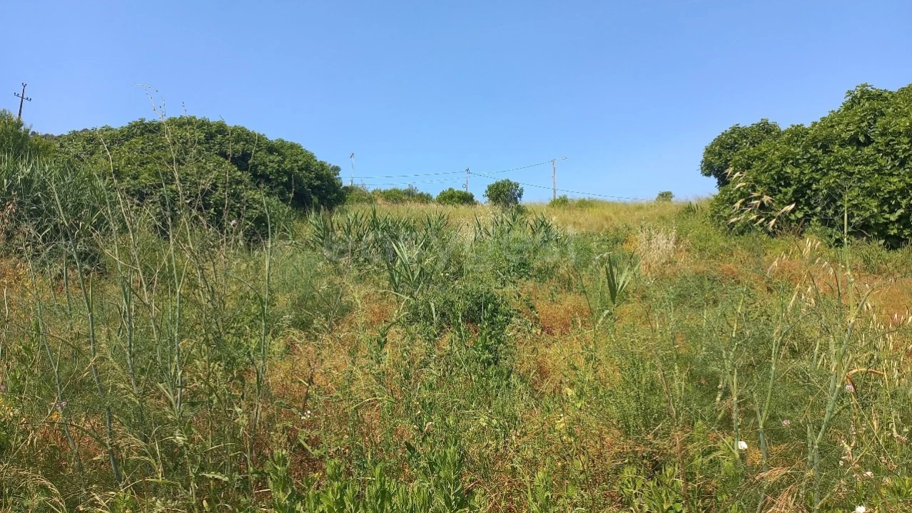Terreno para Venda em Pernes Foto 2