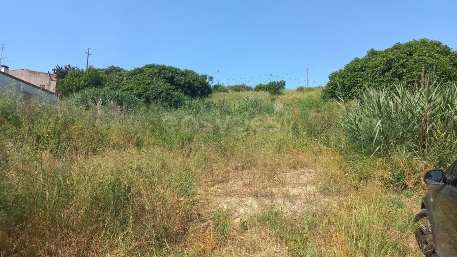 Terreno para Venda em Pernes Foto 1