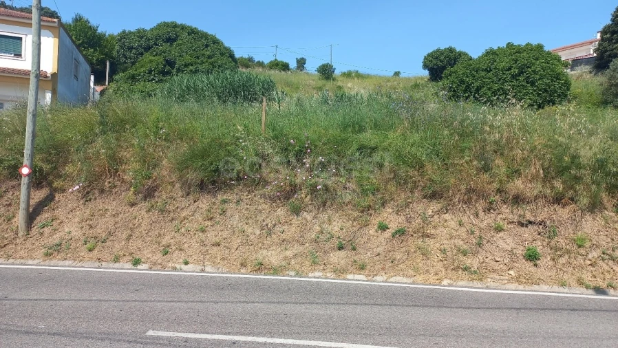 Terreno para Venda em Pernes Foto 4