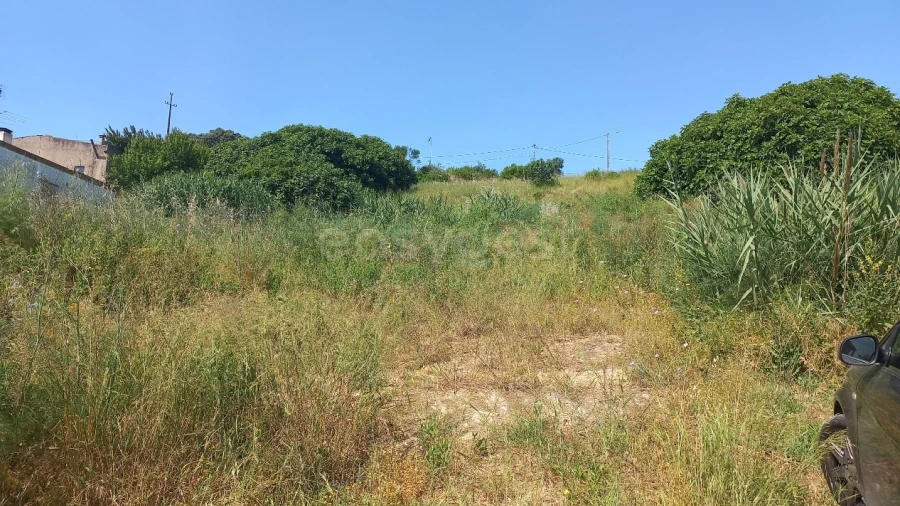 Terreno para Venda em Pernes