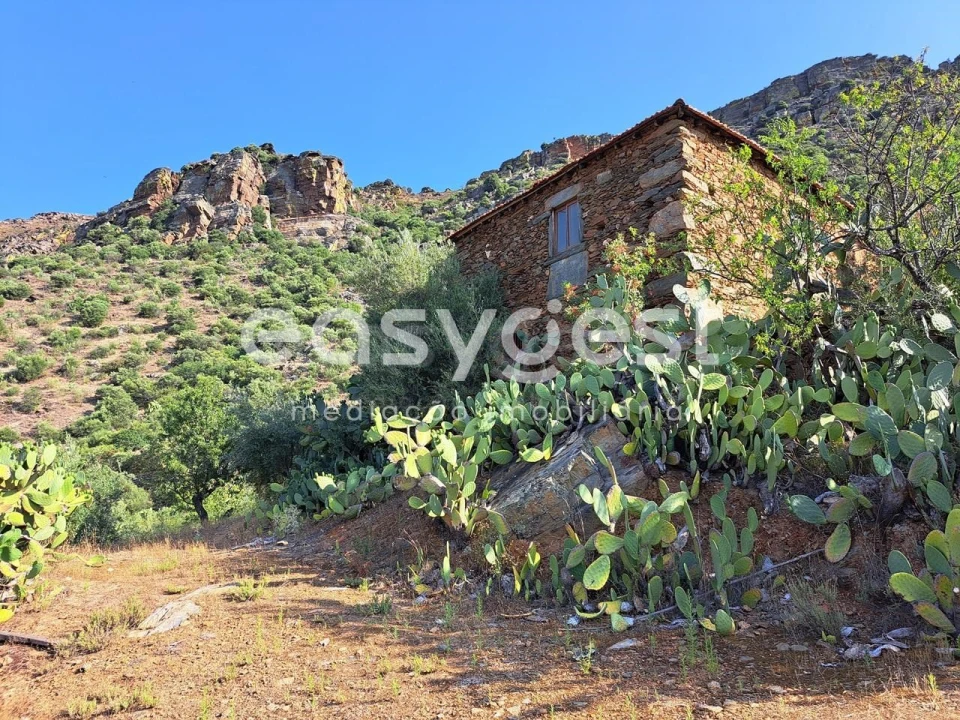 Terreno para Venda em Poiares Foto 2