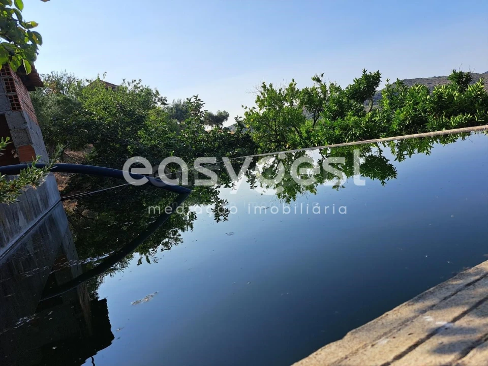 Terreno para Venda em Poiares Foto 8